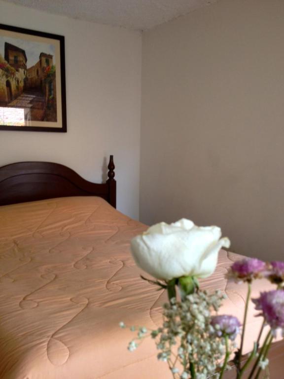 Casa Macondo Bed & Breakfast Cuenca Ruang foto